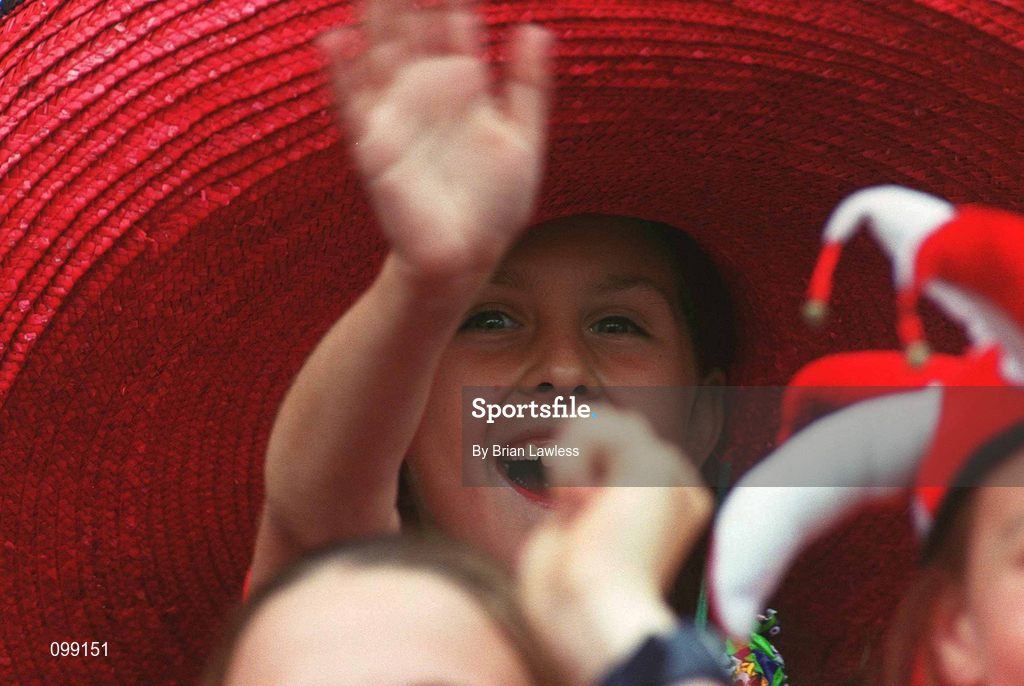 15 September 2002; A Cork supporter during the All-Ireland Senior Camogie Championship Final match between Cork and Tipperary at Croke Park in Dublin. Photo by Brian Lawless/Sportsfile