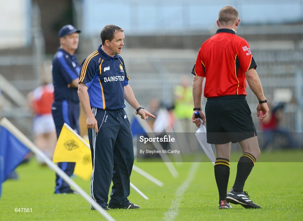 17 June 2012; Clare manager Davy Fitzgerald speaks with linesman Anthony Stapleton during the game. Munster GAA Hurling Senior Championship Semi-Final, Clare v Waterford, Semple Stadium, Thurles, Co. Tipperary. Picture credit: Stephen McCarthy / SPORTSFILE