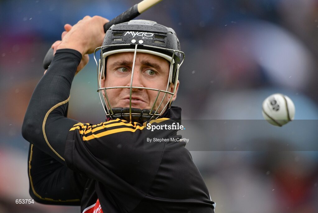 23 June 2012; David Herity, Kilkenny. Leinster GAA Hurling Senior Championship Semi-Final, Dublin v Kilkenny, O'Moore Park, Portlaoise, Co. Laois. Picture credit: Stephen McCarthy / SPORTSFILE