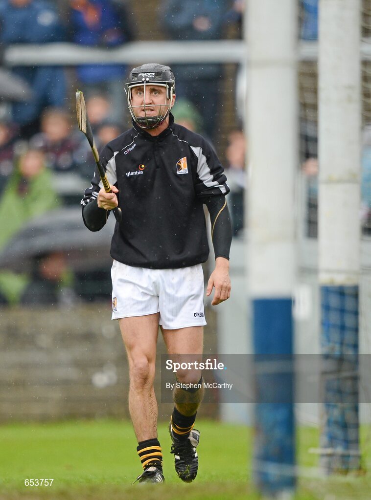 23 June 2012; David Herity, Kilkenny. Leinster GAA Hurling Senior Championship Semi-Final, Dublin v Kilkenny, O'Moore Park, Portlaoise, Co. Laois. Picture credit: Stephen McCarthy / SPORTSFILE