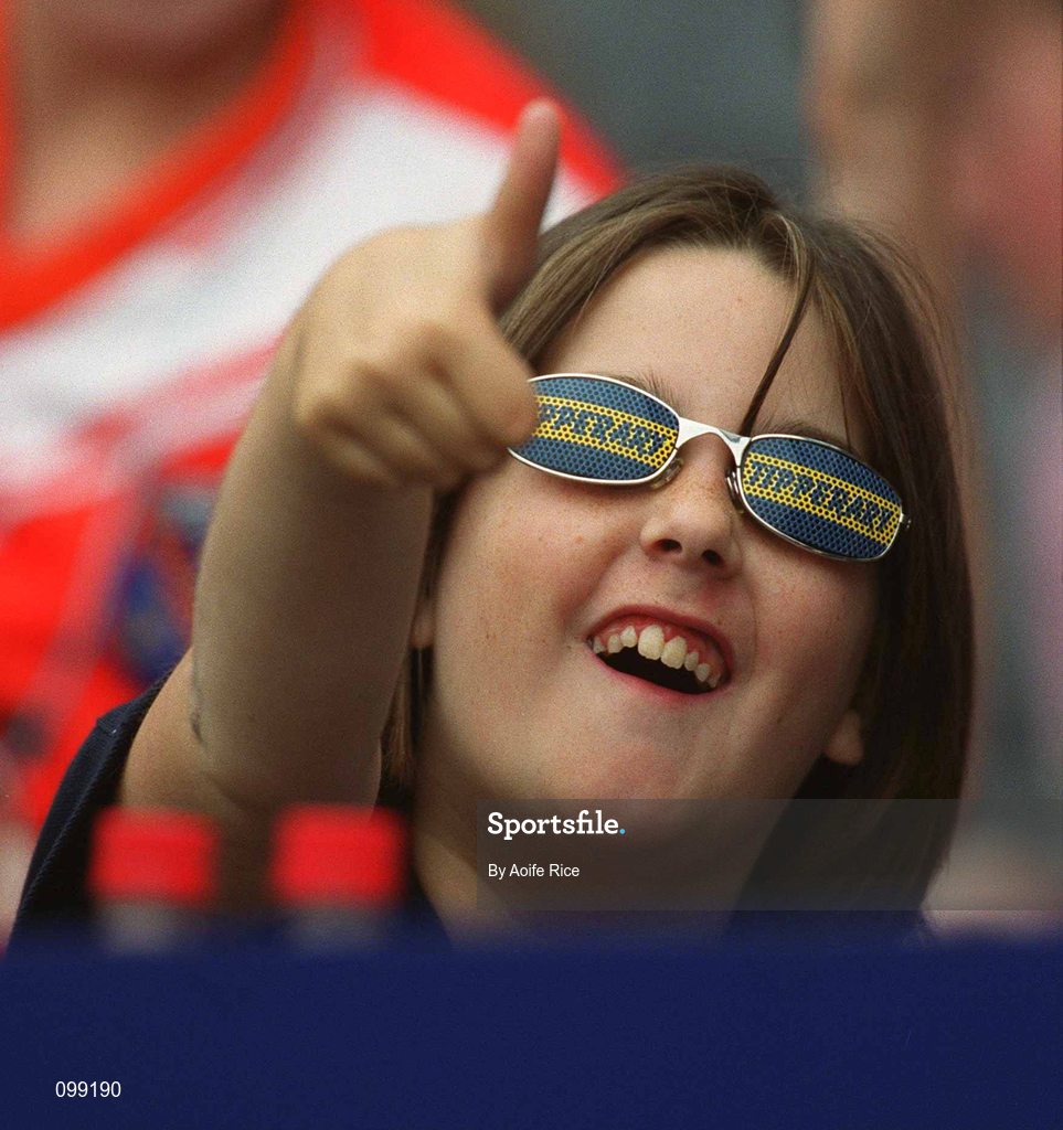 15 September 2002; A Tipperary supporter during the All-Ireland Senior Camogie Championship Final match between Cork and Tipperary at Croke Park in Dublin. Photo by Aoife Rice/Sportsfile