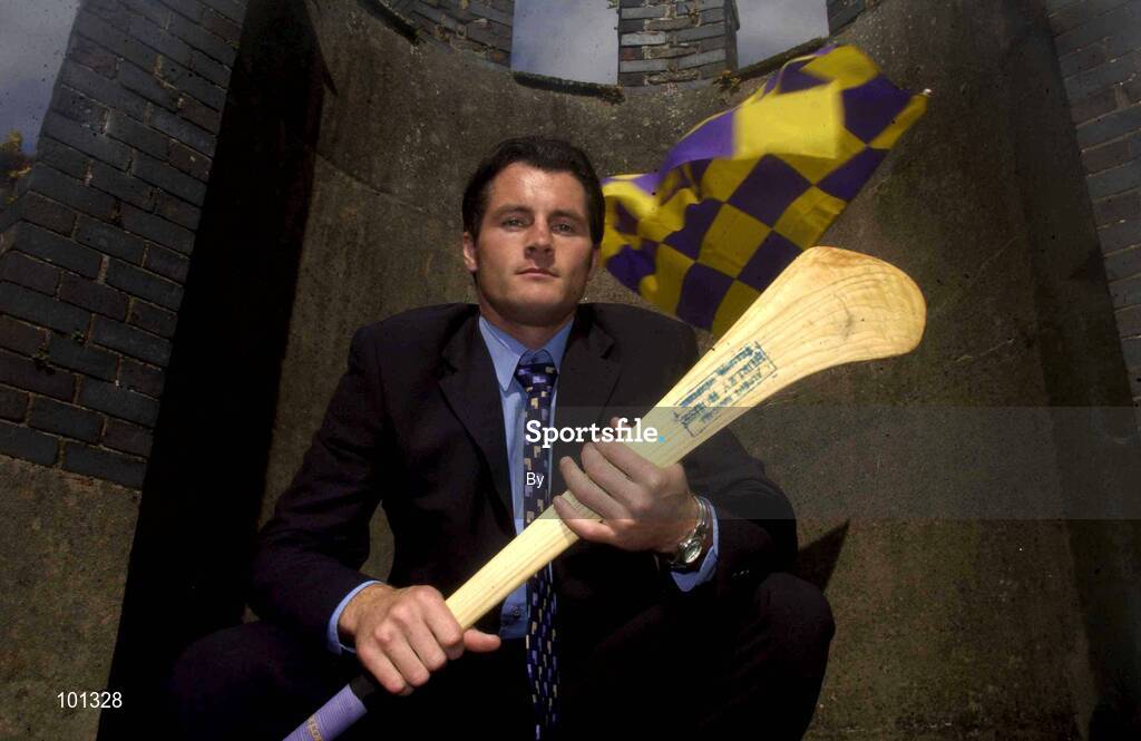 3 July 2002; Declan Ruth, Wexford, pictured at Enniscorthy Castle, Co. Wexford. Hurling. Picture credit; David Maher / SPORTSFILE *EDI*