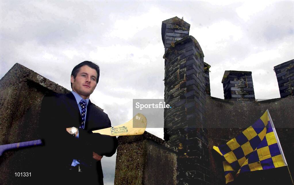 3 July 2002; Declan Ruth, Wexford, pictured at Enniscorthy Castle, Co. Wexford. Hurling. Picture credit; David Maher / SPORTSFILE *EDI*