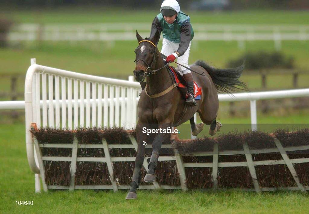 31 December 2002; Numbersixvalverde, with Gary Hutchinson up, clears the last on the way to winning The Two Mile House Maiden Hurdle, Punchestown Racecourse, Co. Kildare. Horse Racing. Picture credit; Damien Eagers / SPORTSFILE *EDI*