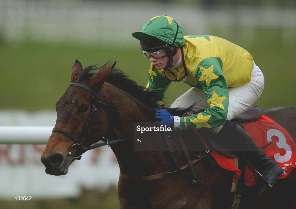 31 December 2002; Balreask Lady, with Sean McDermott up, races clear on the way to winning The Narraghmore Handicap Hurdle, Punchestown Racecourse, Co. Kildare. Horse Racing. Picture credit; Damien Eagers / SPORTSFILE *EDI*