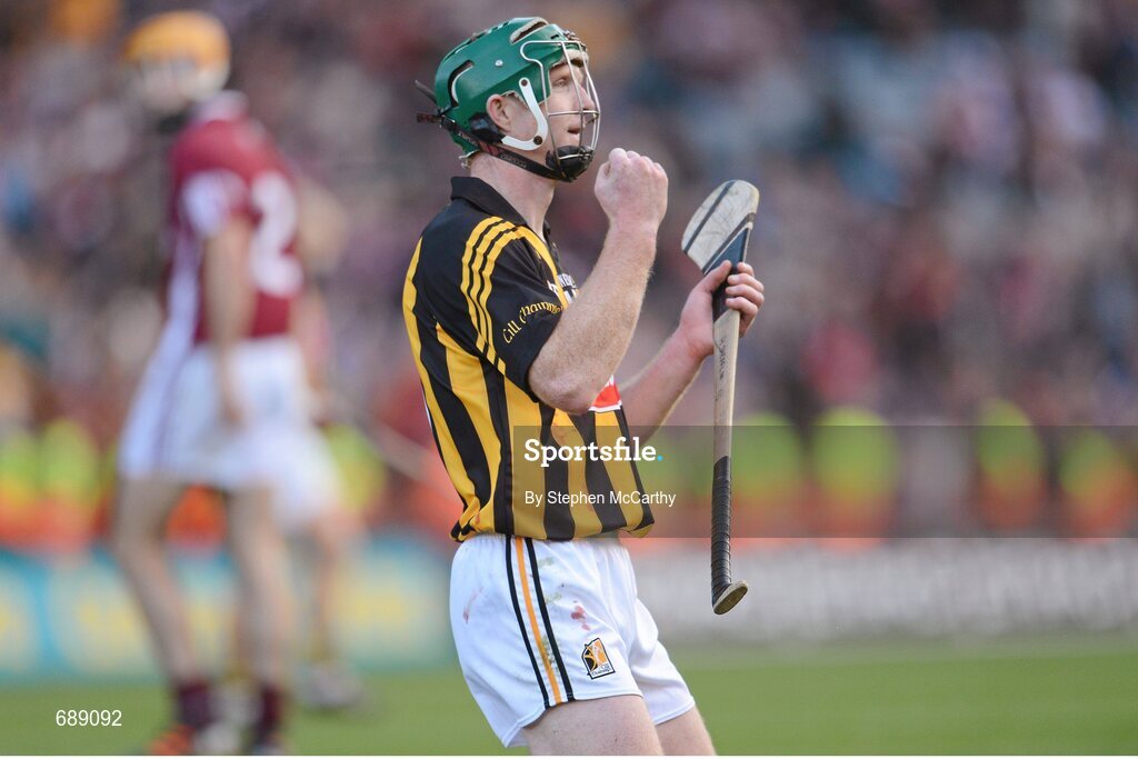 30 September 2012; Henry Shefflin, Kilkenny, celebrates at the final whistle. GAA Hurling All-Ireland Senior Championship Final Replay, Kilkenny v Galway, Croke Park, Dublin. Picture credit: Stephen McCarthy / SPORTSFILE