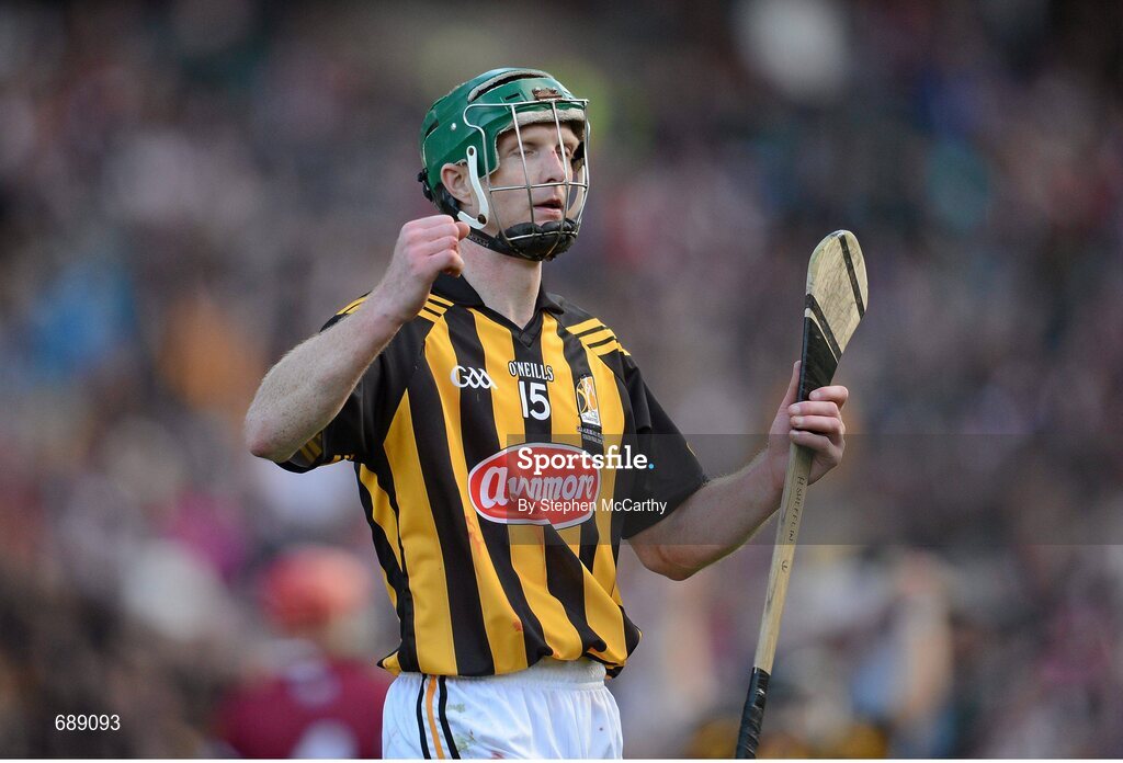 30 September 2012; Henry Shefflin, Kilkenny, celebrates at the final whistle. GAA Hurling All-Ireland Senior Championship Final Replay, Kilkenny v Galway, Croke Park, Dublin. Picture credit: Stephen McCarthy / SPORTSFILE