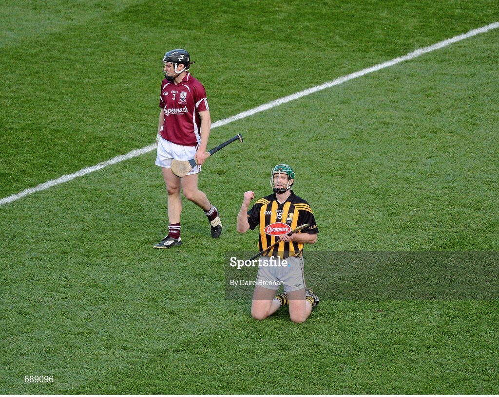 30 September 2012; Henry Shefflin, Kilkenny, celebrates at the final whistle. GAA Hurling All-Ireland Senior Championship Final Replay, Kilkenny v Galway, Croke Park, Dublin. Picture credit: Daire Brennan / SPORTSFILE