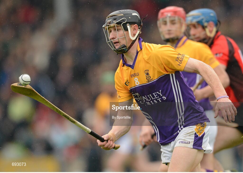 14 October 2012; Jim Berry, Faythe Harriers. Wexford County Senior Hurling Championship Final, Oulart-the-Ballagh v Faythe Harriers, Wexford Park, Wexford. Photo by Sportsfile
