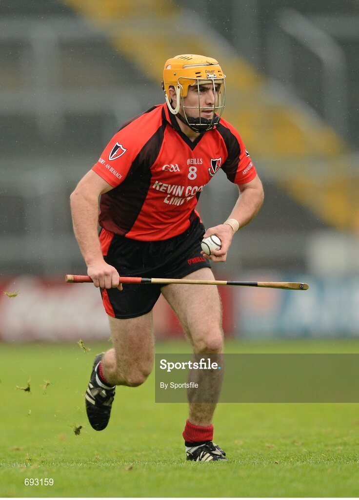 14 October 2012; David Redmond, Oulart-the-Ballagh. Wexford County Senior Hurling Championship Final, Oulart-the-Ballagh v Faythe Harriers, Wexford Park, Wexford. Photo by Sportsfile