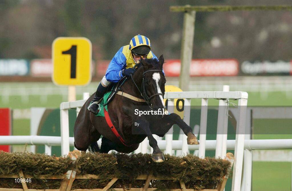10 February 2002; Crusset with Paul Carberry up jumps the last during the Cashmans Bookmakers Juvenile Hurdle, Leopardstown Racecourse, Dublin. Horse Racing. Picture credit; Matt Browne / SPORTSFILE *EDI*