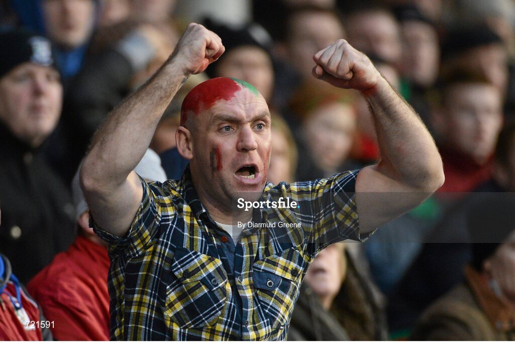 16 February 2013; A Ballymun Kickhams supporter during the game. AIB GAA Football All-Ireland Senior Club Championship, Semi-Final, St Brigid’s, Dr. Crokes, Kerry v Ballymun Kickhams, Dublin, Semple Stadium, Thurles, Co. Tipperary. Picture credit: Diarmuid Greene / SPORTSFILE
