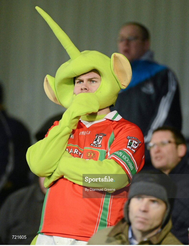 16 February 2013; Ballymun Kickhams supporters including Daragh Joyce look on during the game. AIB GAA Football All-Ireland Senior Club Championship, Semi-Final, St Brigid’s, Dr. Crokes, Kerry v Ballymun Kickhams, Dublin, Semple Stadium, Thurles, Co. Tipperary. Picture credit: Diarmuid Greene / SPORTSFILE