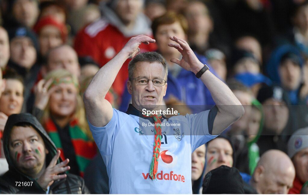 16 February 2013; Ballymun Kickhams supporter Dougie Bolger reacts during the game. AIB GAA Football All-Ireland Senior Club Championship, Semi-Final, St Brigid’s, Dr. Crokes, Kerry v Ballymun Kickhams, Dublin, Semple Stadium, Thurles, Co. Tipperary. Picture credit: Diarmuid Greene / SPORTSFILE