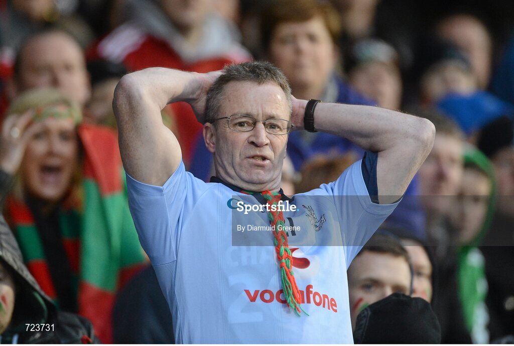 16 February 2013; Ballymun Kickhams supporter Dougie Bolger reacts during the game. AIB GAA Football All-Ireland Senior Club Championship, Semi-Final, St Brigid’s, Dr. Crokes, Kerry v Ballymun Kickhams, Dublin, Semple Stadium, Thurles, Co. Tipperary. Picture credit: Diarmuid Greene / SPORTSFILE