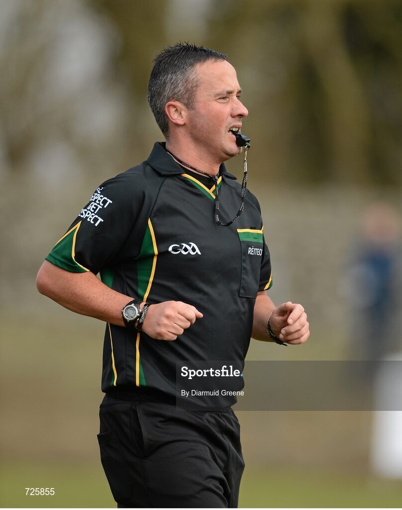1 March 2013; Referee James McGrath. Irish Daily Mail Fitzgibbon Cup Semi-Final, Waterford Institute of Technology v Mary Immaculate College, Limerick, Carnmore GAA Club, Carnmore, Co. Galway. Picture credit: Diarmuid Greene / SPORTSFILE
