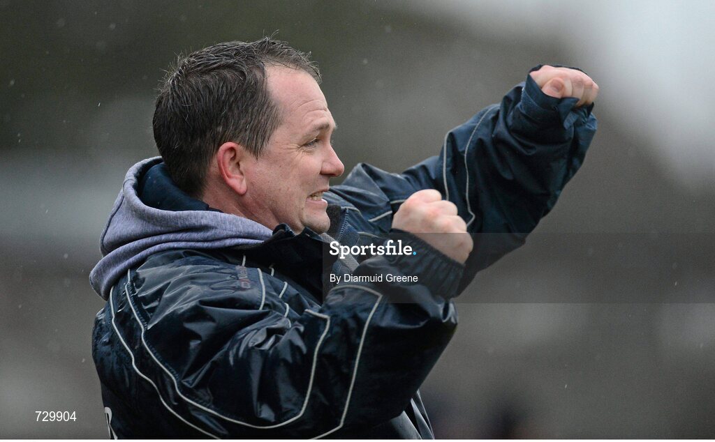 10 March 2013; Clare manager Davy Fitzgerald celebrates at the final whistle after victory over Galway. Allianz Hurling League, Division 1A, Clare v Galway, Cusack Park, Ennis, Co. Clare. Picture credit: Diarmuid Greene / SPORTSFILE