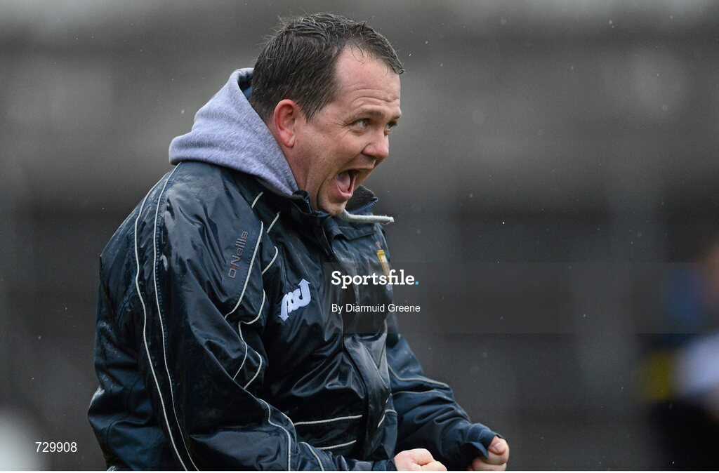 10 March 2013; Clare manager Davy Fitzgerald celebrates at the final whistle after victory over Galway. Allianz Hurling League, Division 1A, Clare v Galway, Cusack Park, Ennis, Co. Clare. Picture credit: Diarmuid Greene / SPORTSFILE