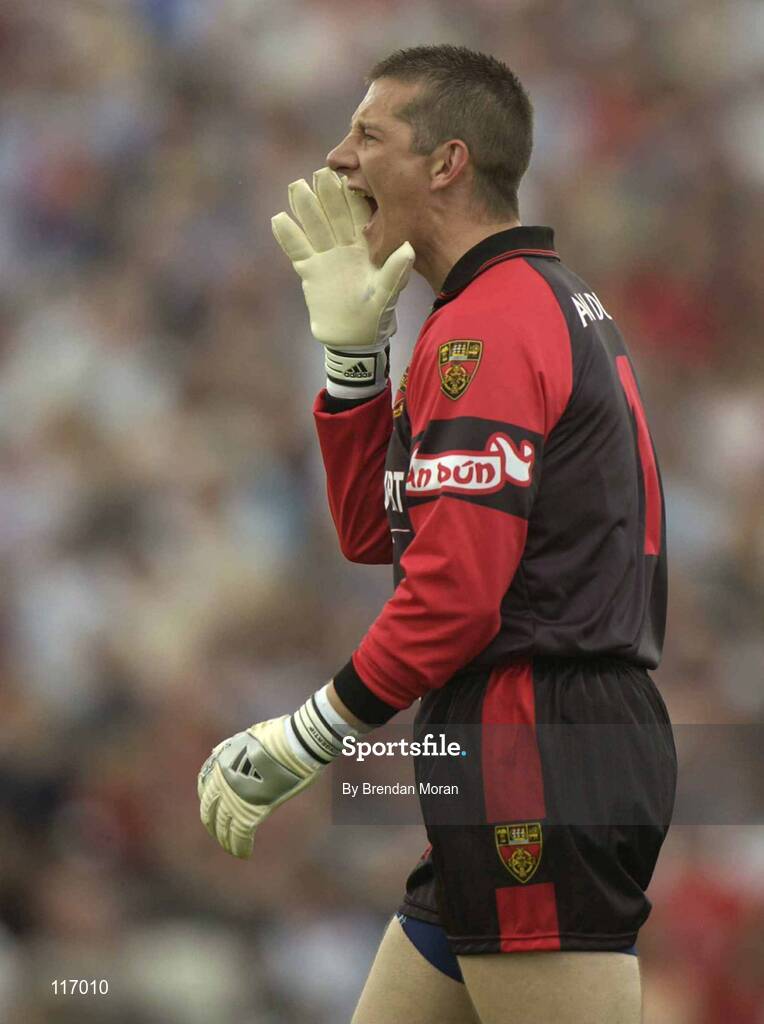 8 June 2003; Down goalkeeper Michael McVeigh during the Bank of Ireland Ulster Senior Football Championship Quarter-Final match between Down and Monaghan at Casement Park in Belfast. Photo by Brendan Moran/Sportsfile