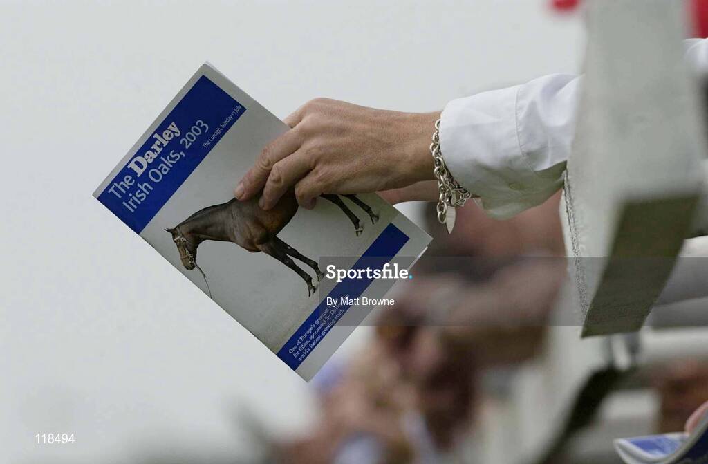 13 July 2003; Irish Oaks, General View, Curragh Racecourse, Co. Kildare. Picture credit; Matt Browne / SPORTSFILE *EDI*