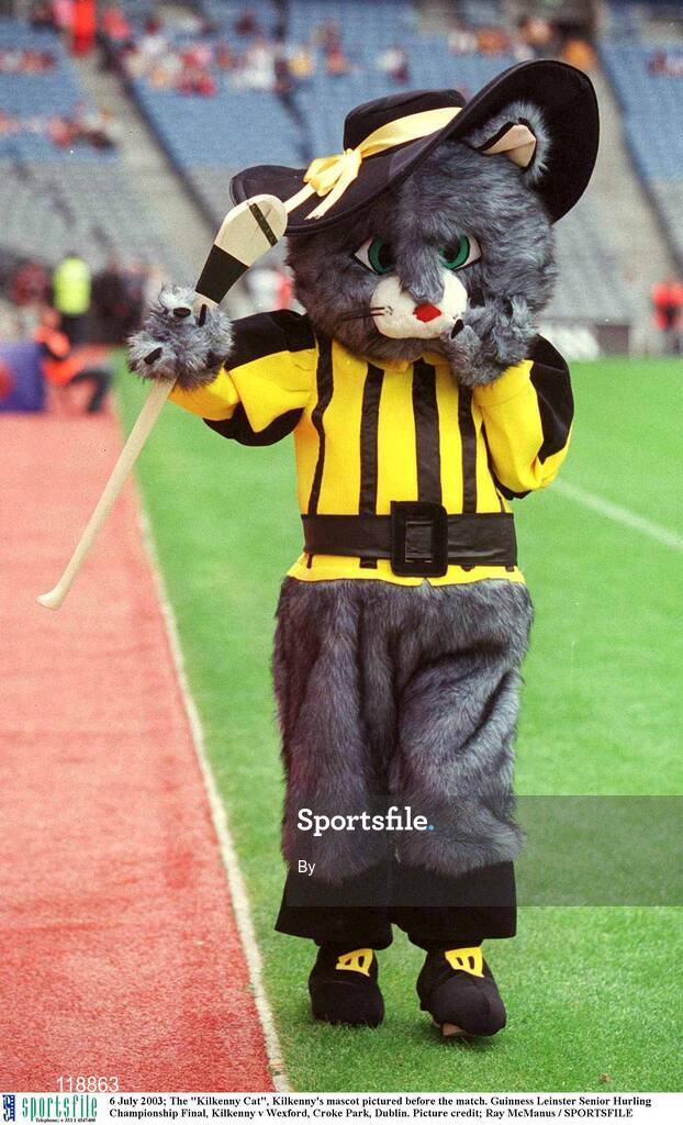 6 July 2003; The "Kilkenny Cat", Kilkenny's mascot pictured before the match. Guinness Leinster Senior Hurling Championship Final, Kilkenny v Wexford, Croke Park, Dublin. Picture credit; Ray McManus / SPORTSFILE