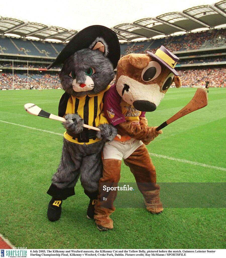 6 July 2003; The Kilkenny and Wexford mascots, the Kilkenny Cat and the Yellow Belly, pictured before the match. Guinness Leinster Senior Hurling Championship Final, Kilkenny v Wexford, Croke Park, Dublin. Picture credit; Ray McManus / SPORTSFILE