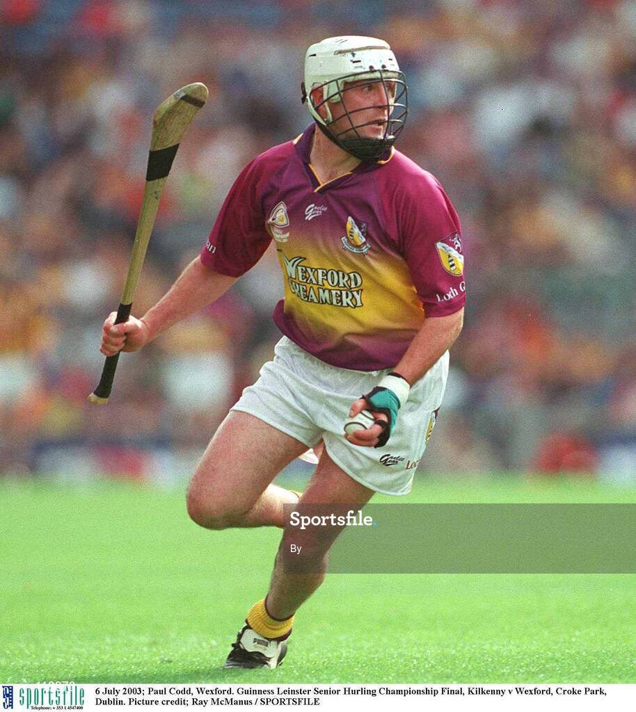 6 July 2003; Paul Codd, Wexford. Guinness Leinster Senior Hurling Championship Final, Kilkenny v Wexford, Croke Park, Dublin. Picture credit; Ray McManus / SPORTSFILE