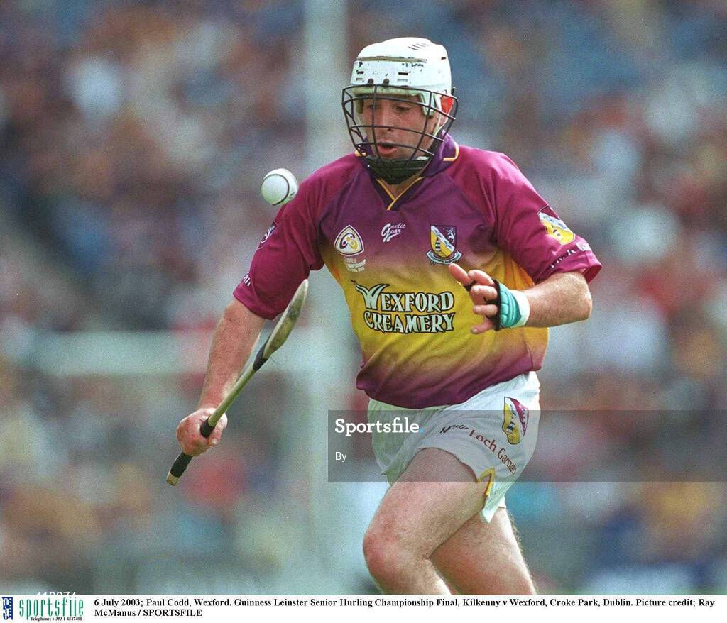 6 July 2003; Paul Codd, Wexford. Guinness Leinster Senior Hurling Championship Final, Kilkenny v Wexford, Croke Park, Dublin. Picture credit; Ray McManus / SPORTSFILE