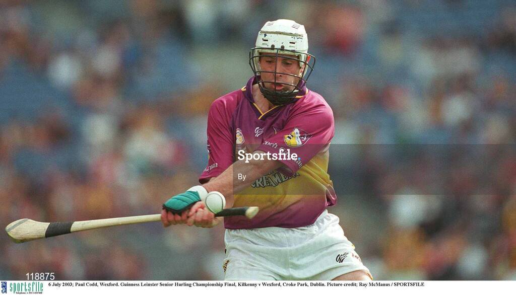 6 July 2003; Paul Codd, Wexford. Guinness Leinster Senior Hurling Championship Final, Kilkenny v Wexford, Croke Park, Dublin. Picture credit; Ray McManus / SPORTSFILE