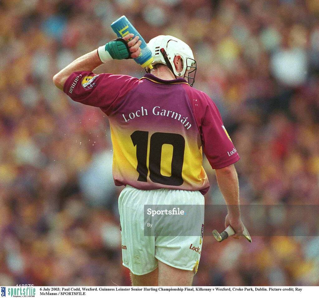 6 July 2003; Paul Codd, Wexford. Guinness Leinster Senior Hurling Championship Final, Kilkenny v Wexford, Croke Park, Dublin. Picture credit; Ray McManus / SPORTSFILE