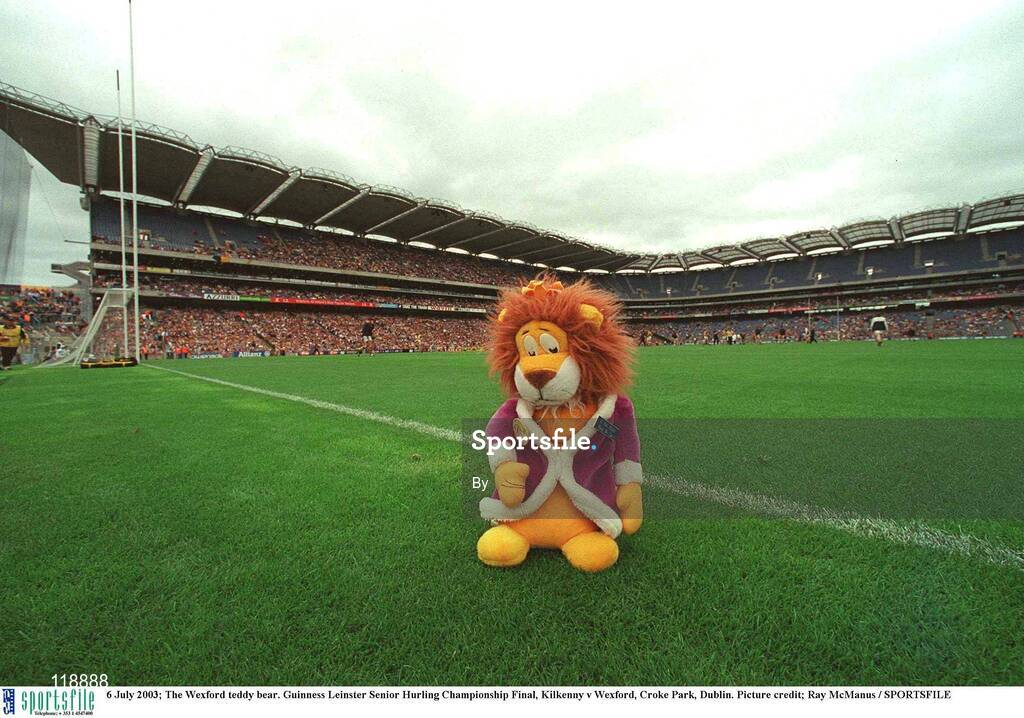 6 July 2003; The Wexford teddy bear. Guinness Leinster Senior Hurling Championship Final, Kilkenny v Wexford, Croke Park, Dublin. Picture credit; Ray McManus / SPORTSFILE