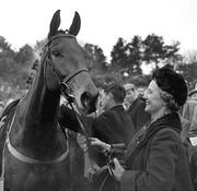 27 February 1965; The Tom Dreaper trained Arkle with his owner Anne Duchess of Westminster after winning the 3 mile handicap Leorardstown Chase. Leopardstown, Dublin. Picture credit; Connolly Collection / SPORTSFILE                          12 stone 7pounds                Jockey P.Taaffe                 Price 8/11fav  *** Local Caption ***               12 stone 7pounds        Jockey P.Taaffe         Price 8/11fav