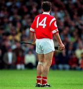 8 June 1997; Alan Browne of Cork during the GAA Munster Senior Hurling Championship Semi-Final match between Clare and Cork at Gaelic Grounds, Limerick. Photo by Ray McManus/Sportsfile