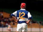 8 June 1997; Fionan O'Sullivan of Laois prior to the GAA Leinster Senior Hurling Championship Quarter-Final match between Offaly and Laois at Croke Park, Dublin. Photo by Damien Eagers/Sportsfile