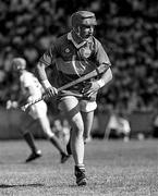 2 July 1989; John Leahy of Tipperary during the Munster Senior Hurling Championship Final match between Tipperary and Waterford at Páirc Uí Chaoimh in Cork. Photo by Ray McManus/Sportsfile