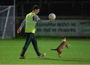 11 November 2017; An official trying to get a dog off the field before the AIB Ulster GAA Football Senior Club Championship Semi-Final match between Kilcar and Slaughtneil at Healy Park in Omagh, Tyrone. Photo by Oliver McVeigh/Sportsfile