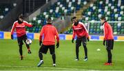 8 November 2017; A general view during Switzerland squad training at Windsor Park, in Belfast. Photo by Oliver McVeigh/Sportsfile