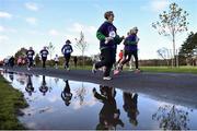 12 November 2017; Runners during the Remembrance Run 5K 2017 at Phoenix Park in Dublin. Photo by David Fitzgerald/Sportsfile