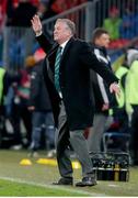12 November 2017; Northern Ireland manager Michael O'Neill gets animated during the FIFA 2018 World Cup Qualifier Play-off 2nd leg match between Switzerland and Northern Ireland at St. Jakob's Park in Basel, Switzerland. Photo by Roberto Bregani/Sportsfile