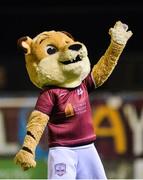 27 October 2017; Galway United mascot Terry the Tiger before the SSE Airtricity League Premier Division match between Galway United and Dundalk at Eamonn Deasy Park, in Galway. Photo by Piaras Ó Mídheach/Sportsfile
