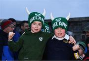 18 November 2017; Ireland supporters James Mallon, left, age 6, and Josh Owen, age 5, both from Belfast, prior to the Guinness Series International match between Ireland and Fiji at the Aviva Stadium in Dublin. Photo by Eóin Noonan/Sportsfile