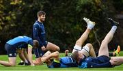 20 November 2017; Ross Byrne during Leinster rugby squad training at Leinster Rugby Headquarters in Dublin. Photo by Ramsey Cardy/Sportsfile