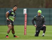 21 November 2017; Bundee Aki, left, and Jonathan Sexton during Ireland rugby squad training at Carton House in Maynooth, Co Kildare. Photo by Seb Daly/Sportsfile