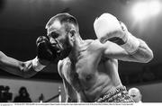 10 March 2017; Phil Sutcliffe Jnr in action against Miguel Aguilar during their super-lightweight bout in the Waterfront Hall in Belfast. Photo by Ramsey Cardy/Sportsfile