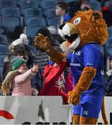 24 November 2017; Leinster mascot Leo the Lion interacting with fans prior to the Guinness PRO14 Round 9 match between Leinster and Dragons at the RDS Arena in Dublin. Photo by Brendan Moran/Sportsfile