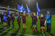 24 November 2017; Members of Arklow RFC, Co. Wicklow as flagbearers at the Guinness PRO14 Round 9 match between Leinster and Dragons at the RDS Arena in Dublin. Photo by Brendan Moran/Sportsfile