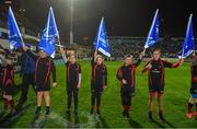 24 November 2017; Members of Arklow RFC, Co. Wicklow as flagbearers at the Guinness PRO14 Round 9 match between Leinster and Dragons at the RDS Arena in Dublin. Photo by Brendan Moran/Sportsfile