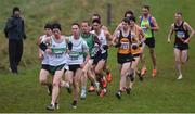 26 November 2017; A general view of the leading pack during the Senior Men's and U23 10,000m at the Irish Life Health Juvenile Even Age Cross Country Championships 2017 at the National Sports Campus in Abbotstown, Dublin. Photo by David Fitzgerald/Sportsfile