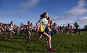 26 November 2017; A general view of the start of the Girls U12 2000m duriing the Irish Life Health Juvenile Even Age Cross Country Championships 2017 at the National Sports Campus in Abbotstown, Dublin. Photo by David Fitzgerald/Sportsfile