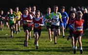26 November 2017; A general view during the Boys U12 2000m at the Irish Life Health Juvenile Even Age Cross Country Championships 2017 at the National Sports Campus in Abbotstown, Dublin. Photo by David Fitzgerald/Sportsfile